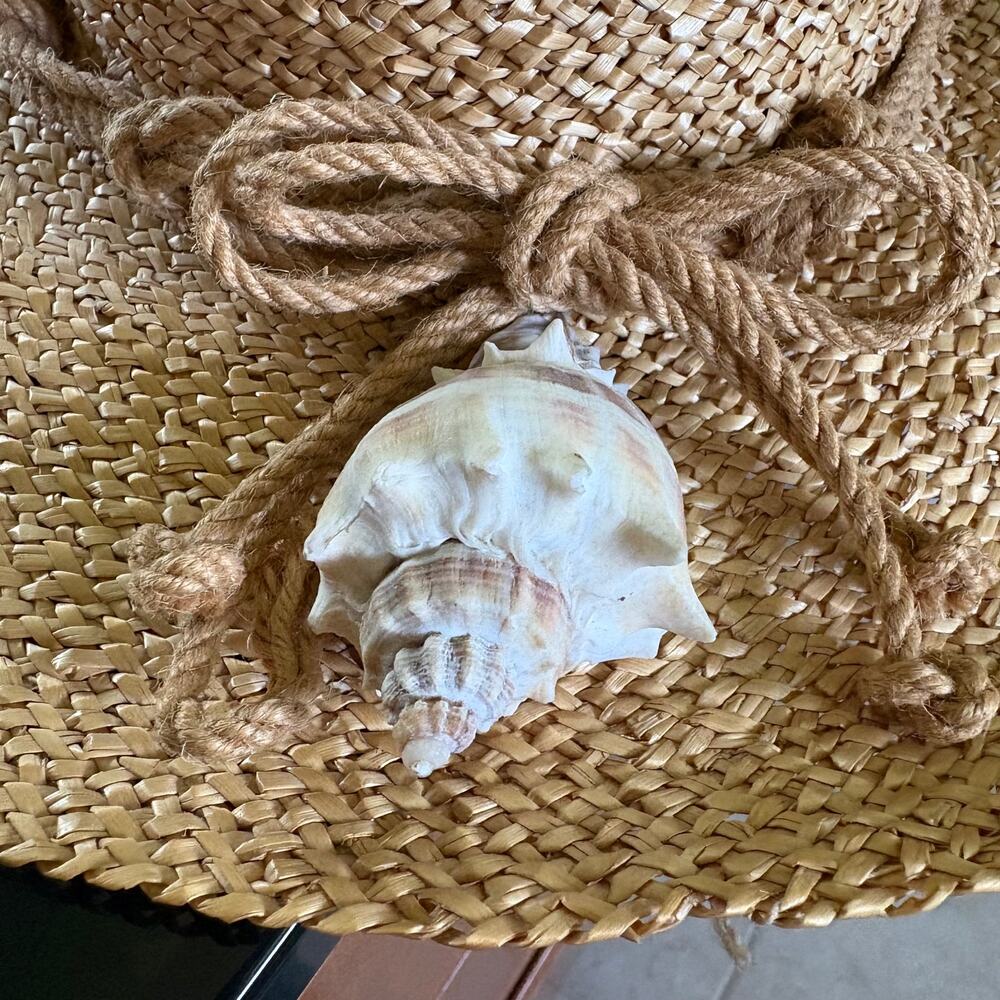 Vintage Olive Branch Woven Straw Sun Hat Shell Accent Tan Size M - Picture 4 of 6